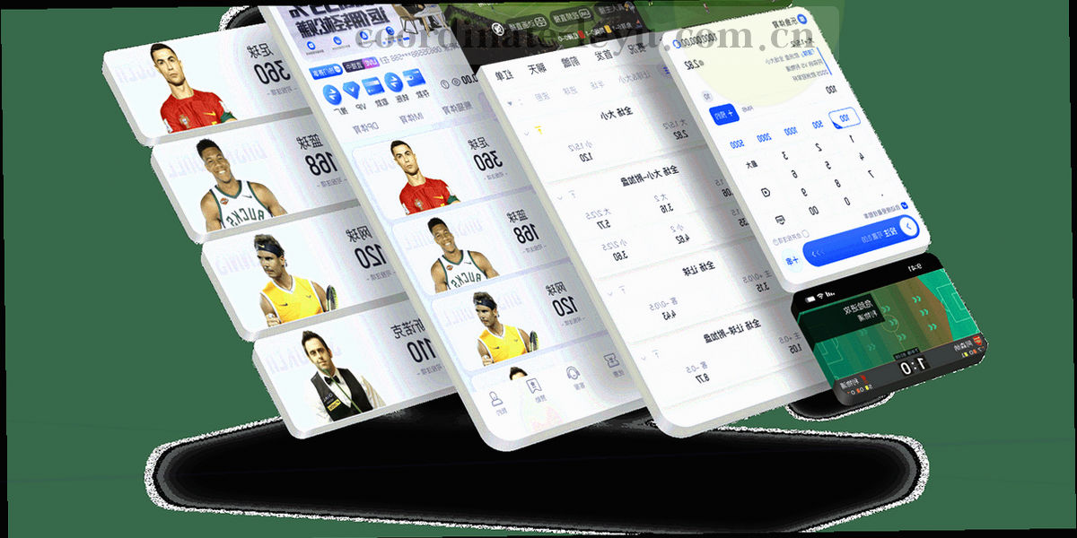三种导出格式并列示意，CSV、日历订阅与图片长图分别以抽象文件图标呈现